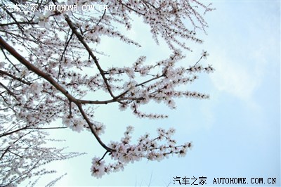 危险:驾驶室门锁竟然失效!教训:遥控锁车后一定