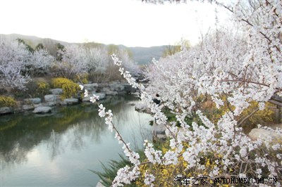 危险:驾驶室门锁竟然失效!教训:遥控锁车后一定