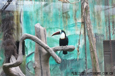 周末 杭州野生动物园游玩 海量图片_浙江