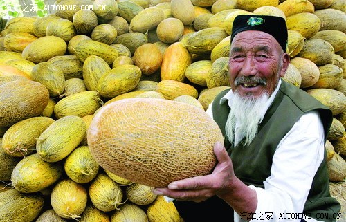 我的家乡美丽的新疆哈密人的淳朴热情大方好客