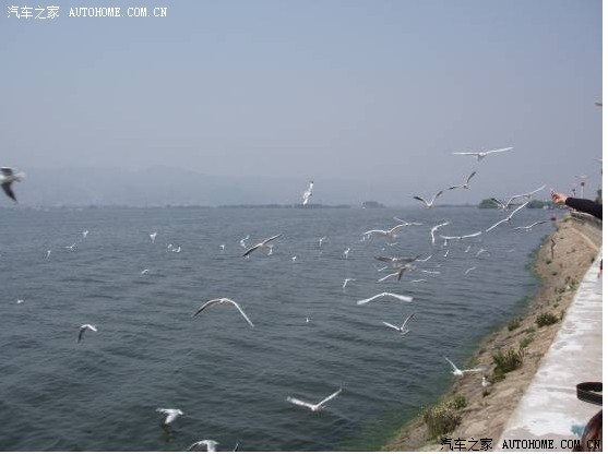 【图】驾驶金杯大海狮W春城赏滇池胜景~揽高