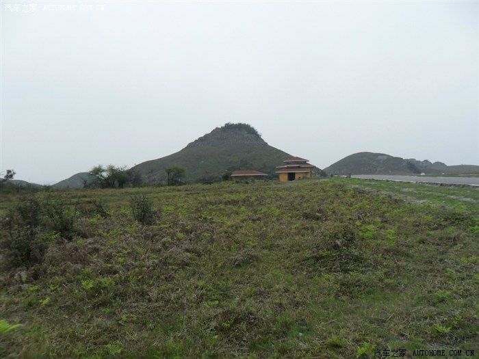 【图】大家看看普底花山,索玛大草原,多图