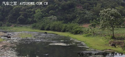 人间四月,武鸣大明山小陆村赏油桐花