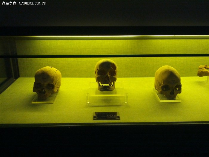 禁止拍照,偷照。吐鲁番楼兰干尸。人的骨头。