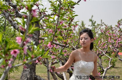 长治桃花节上的美女美食