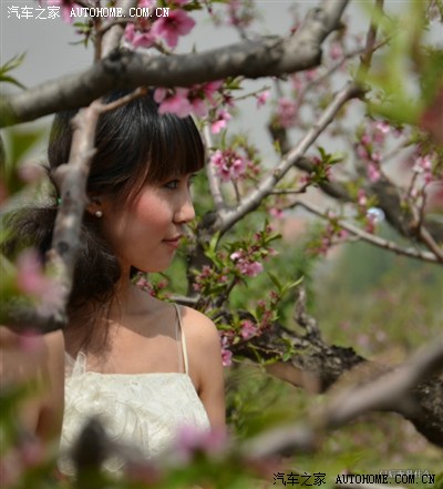 桃花林里桃花仙-长治第4届桃花节里的美女以及特色小吃_山西_手机
