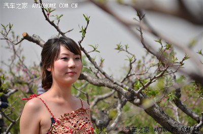 长治桃花节上的美女美食