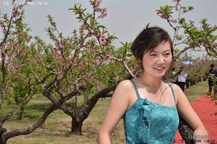 长治桃花节上的美女美食