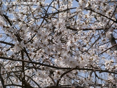 密云水长城一日游 多图_威志V2论坛