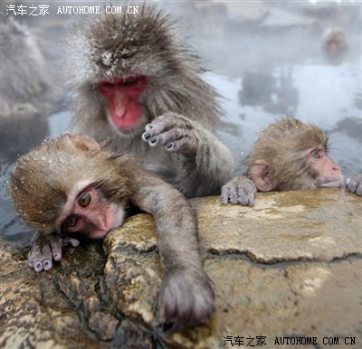 网罗天下美图·奇观奇景XXXXX