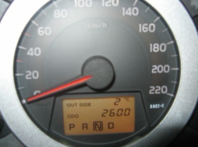 【图】小R屁屁太性感!三个月屁屁二次开花!都