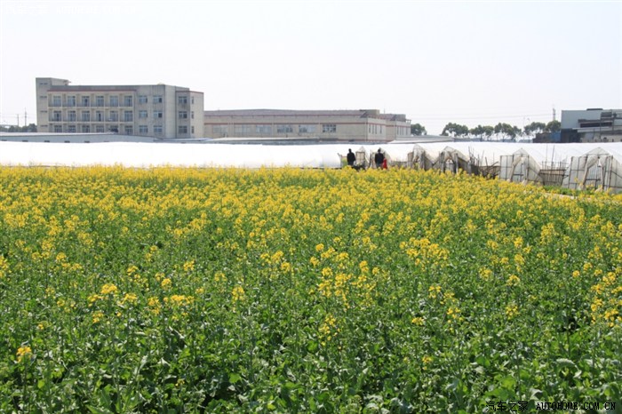 【图】清明好季节采草莓