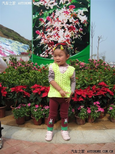 清明节 东莞清溪大王山森林公园赏花行--有美女