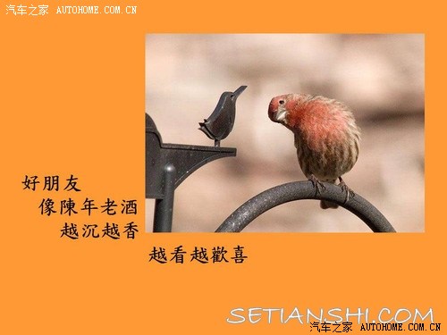 【图】好朋友,有你真的很好!_奇瑞A3论坛