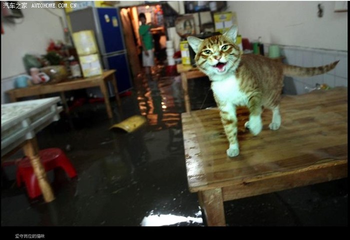 【图】铁锤发帖 江西省南昌市的修车店 真的很