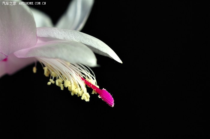 【图】俺迷糊了:多长时间该换机油?