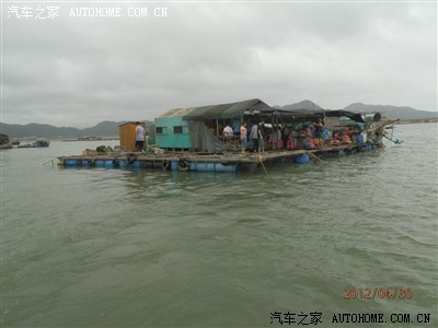 珍珠湾海鲜_海鲜图片大全_海鲜疙瘩汤(4)