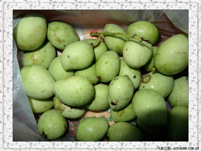 【图】后档被砸(修好后档又刮杆子)_瑞麒G5论