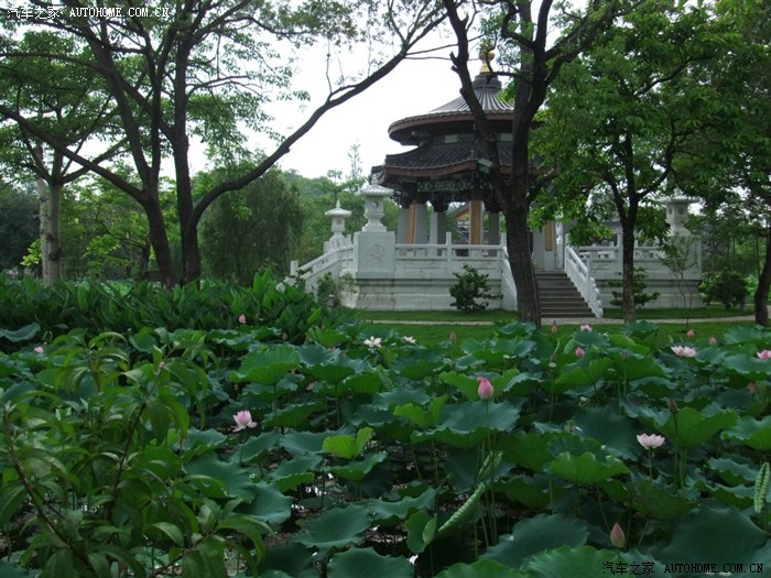 520雨后游惠州西湖丰渚园(荷花亭)