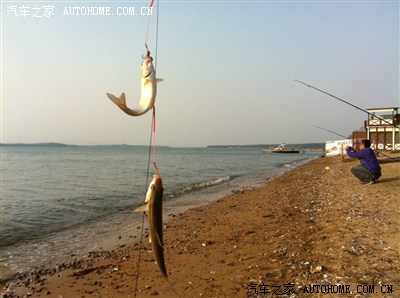 新人前来报道。首次海外论坛发作业。源于俄罗