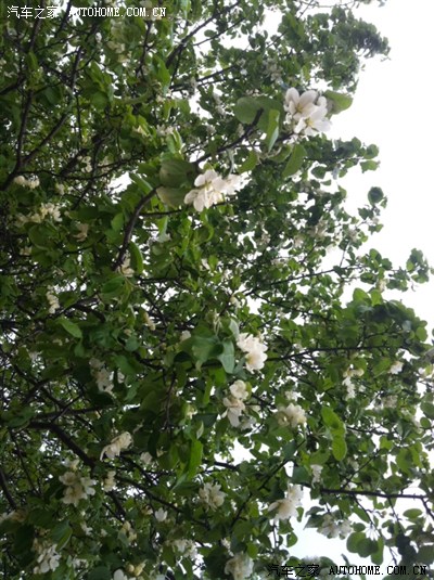 新人前来报道。首次海外论坛发作业。源于俄罗