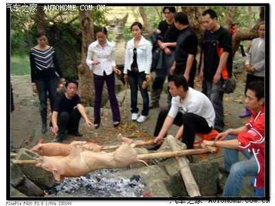 凯友--广西大新县恩城国家自然保护区五一文