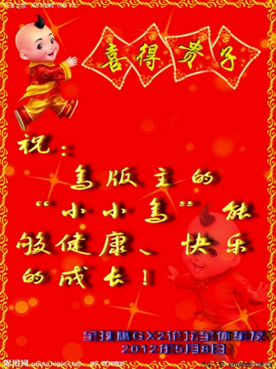 恭喜鸟版喜得贵子