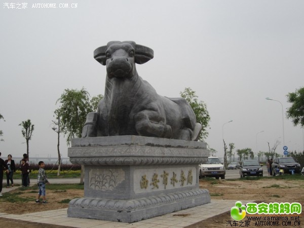 【图】【比亚迪】渭河生态公园的f3_比亚迪F3