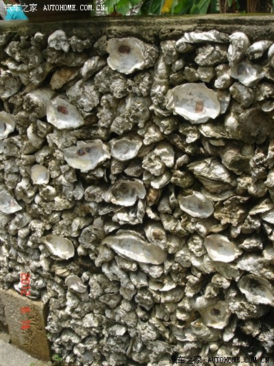 香港、澳门、珠海 走马观花游7日_天津