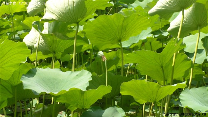 【图】驾小马徐州吕梁风景区和大龙湖一日游_