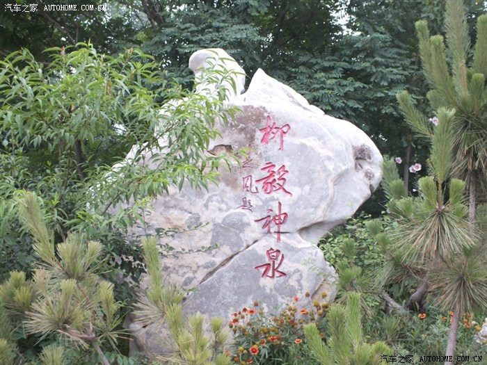 【图】早睡早起身体好 开上小安到处跑