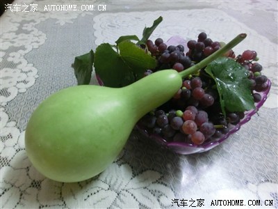 紫葡萄黑木耳之紫葡萄~无码高清~_致胜(原蒙迪