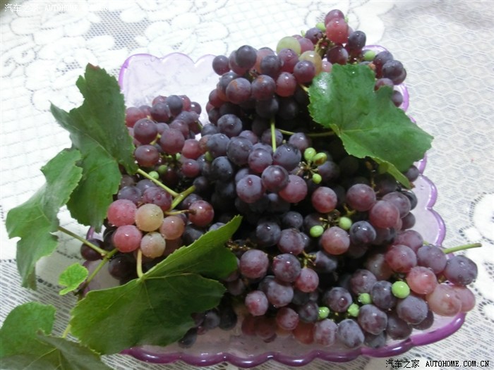 【图】紫葡萄黑木耳之紫葡萄~无码高清~_蒙迪
