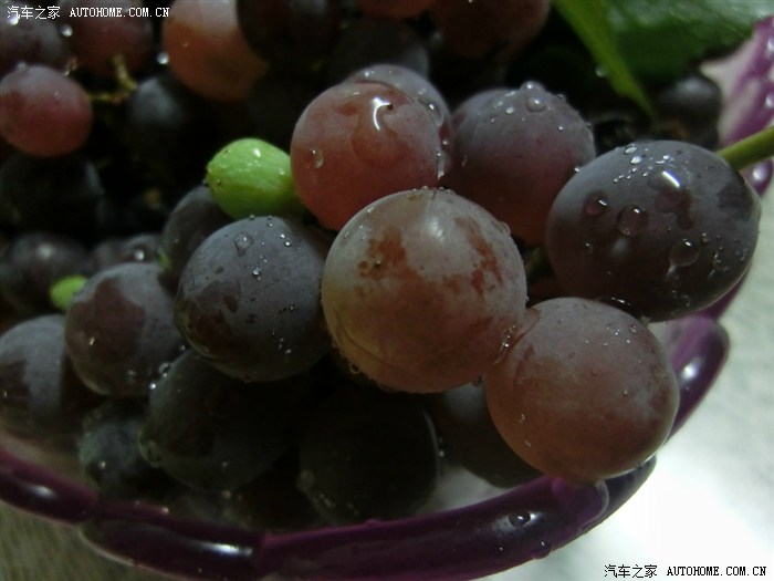 【图】紫葡萄黑木耳之紫葡萄~无码高清~_蒙迪