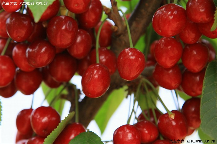 2015年赣榆历庄中考多少分能考上