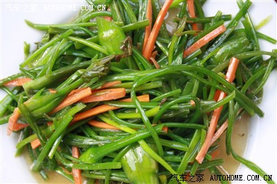 水性杨花 菜-水性杨花菜怎么做_水性杨花菜生