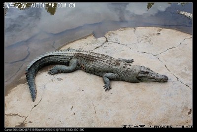 给力星奔第二季,出境老挝,泰国,缅甸,回国颠进青