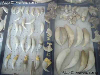 缅甸第二特区(佤邦)之旅_云南