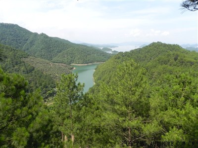 江浙沪FX2天一夜千岛湖鲨鱼团完美爆团~说好