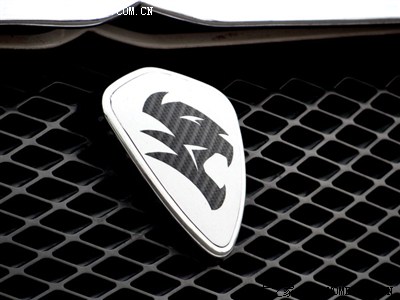 起亚豹子头是什么牌子  外形和起亚k5类似,4门车标是豹子头还是狮子头