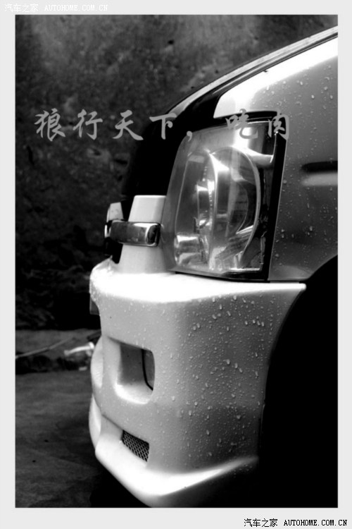 【图】狼行天下,吃肉--首页