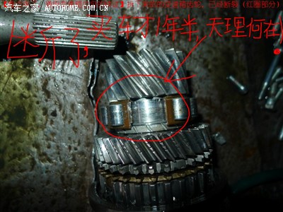 买车一年半车主的凄惨遭遇:变速箱先天严重设