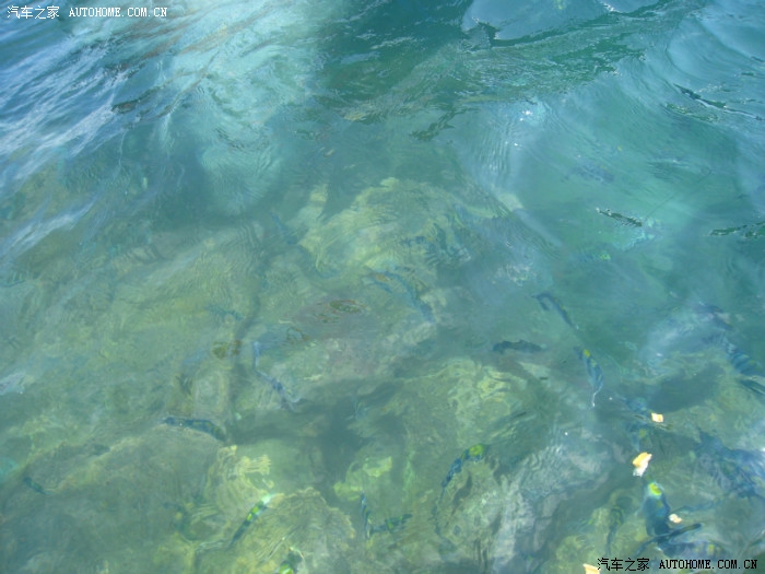 新婚夫妻巴厘岛蜜月之旅