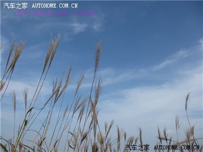 重阳登高白云嶂 黄昏漫步盘古宫_广东论坛_手