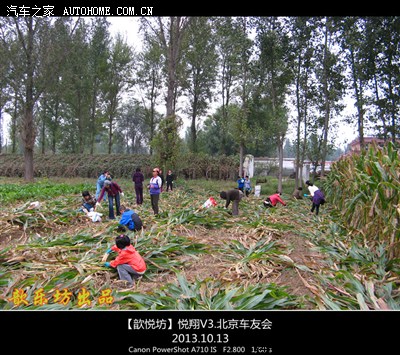 【歆悦坊】车友会■济慈之家义务秋收劳动作业