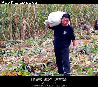 【歆悦坊】车友会■济慈之家义务秋收劳动作业