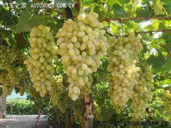 宣化--京西第一府