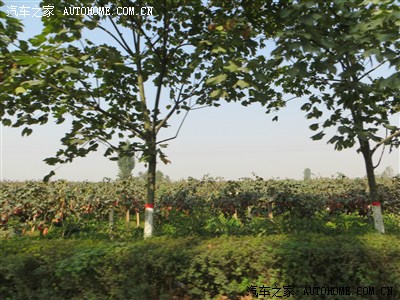 长安汽车知音自驾体验营--眉县红河谷
