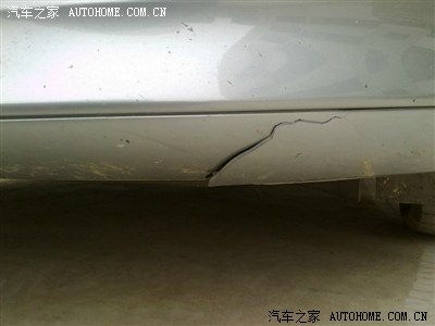 可恶的狗 可怜的麻雀