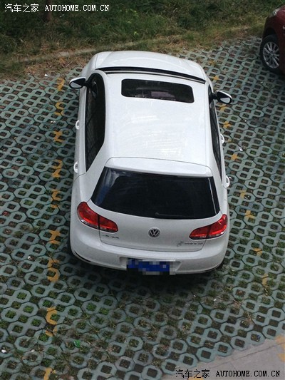 明天是小高2个月生日,提前祝小白生日快乐~